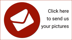 email us